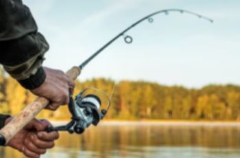 Applications qui aident à la pêche